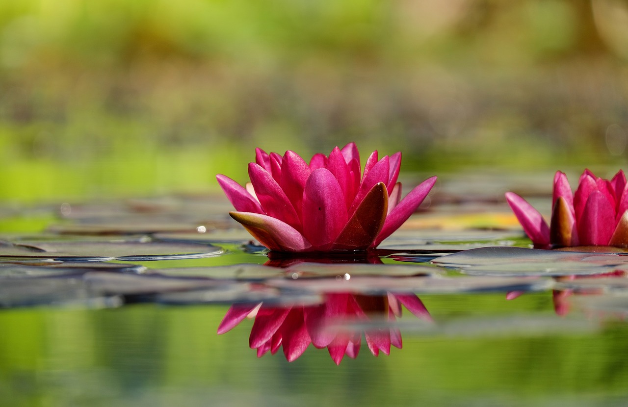 Does Forgiveness Include Responsibility?