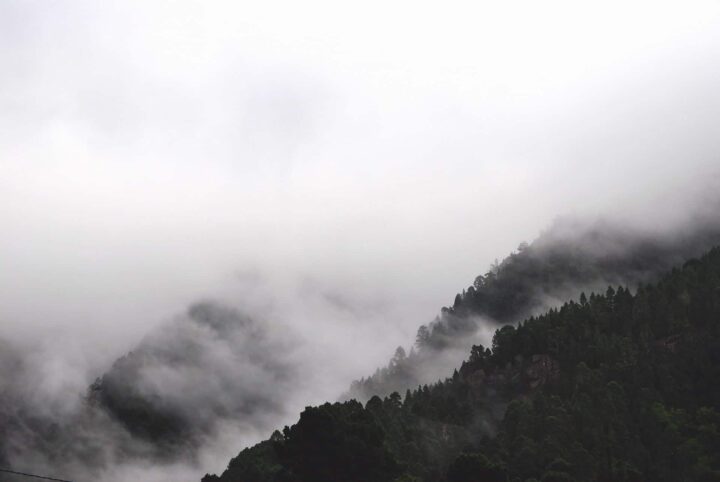 Fog rolling over forested mountain slopes