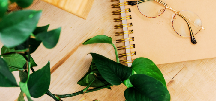 Spiral notebook with glasses and pothos vine
